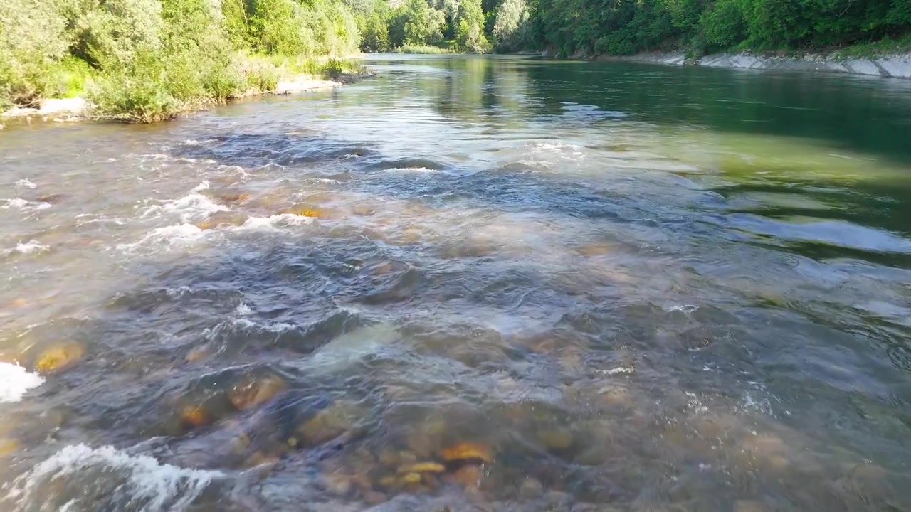 Acqua limpida di fiume scorre su sassi levigati sotto la luce solare intensa con rive lussureggianti e verdi.