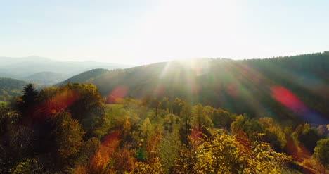 Vista-Aérea-Amanecer-Atardecer-Sobre-Bosque-10