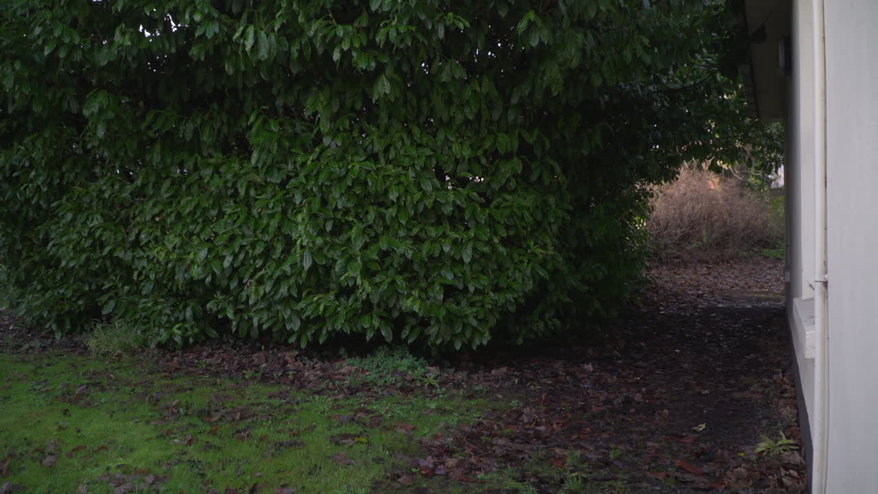 Empty Dorm Room Student, Hostel, Asylum seeker's Accommodation