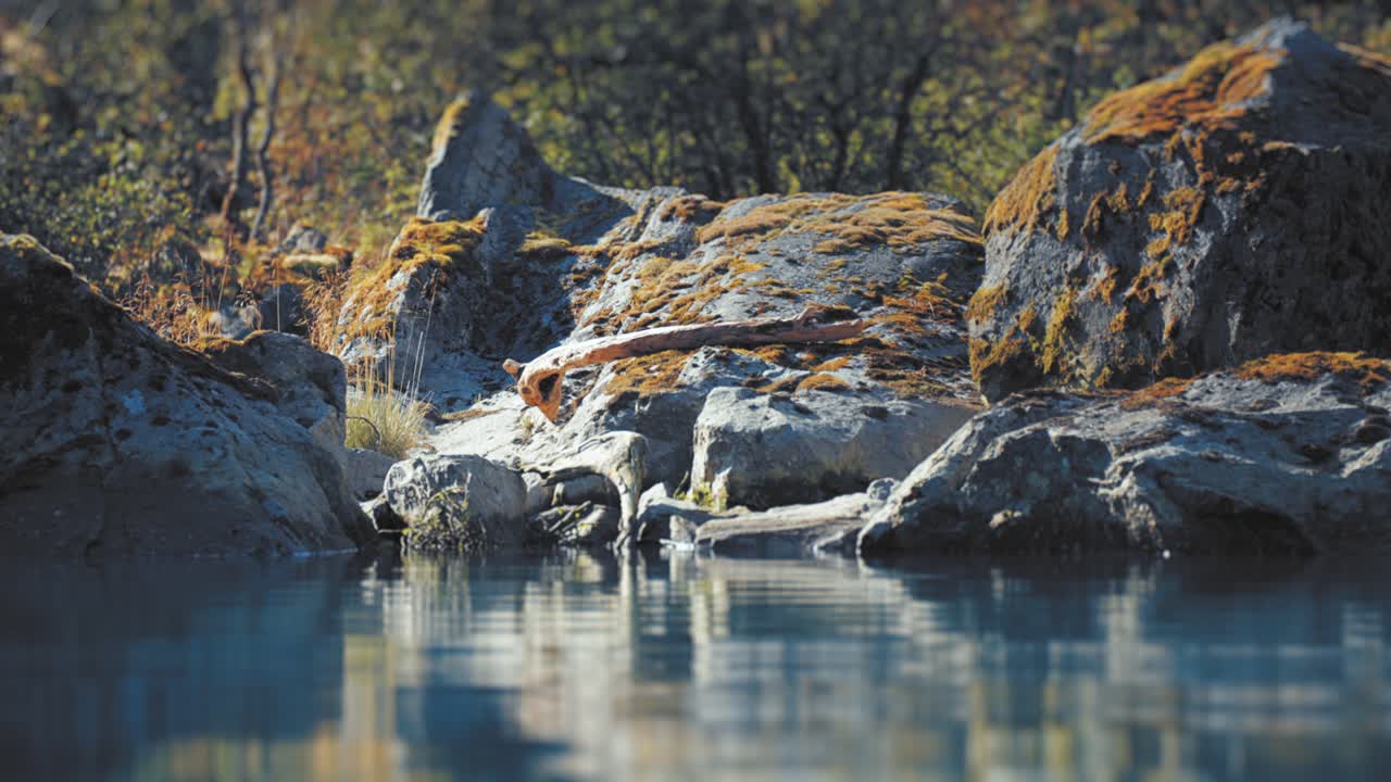 Rocky shores of the Loenvatnet lake