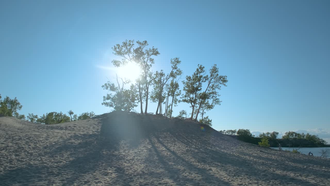 모래톱 반도의 석양 빛 속에서 모래에서 나무까지 천천히 팬