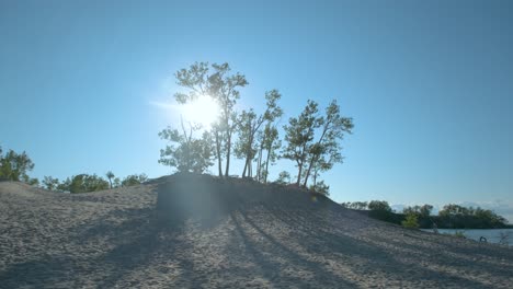 cacerola lenta de la arena a los árboles en la luz del atardecer de la península de los bancos de arena