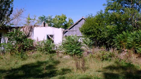 panning shot over abandoned houses surrounded by trees