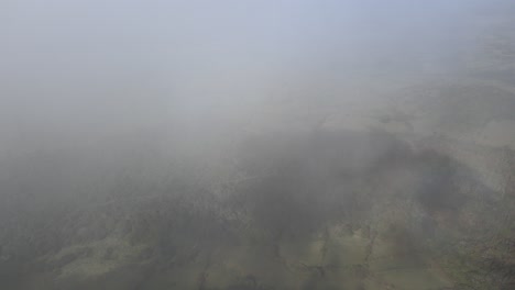 mist reveals road between farm fields and trees