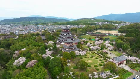 aerial drone fly kyoto japan famous shrine around cherry blossom spring city landscape, fushimi castle