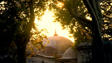 mosque dome