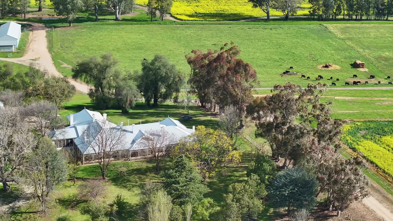 Large rural farmstead with blooming canola field in the background