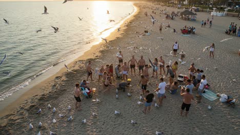a beautiful sunset beach gathering with friends, birds, and fun activities by the shore – enjoying the warm golden light and scenic views at the water's edge