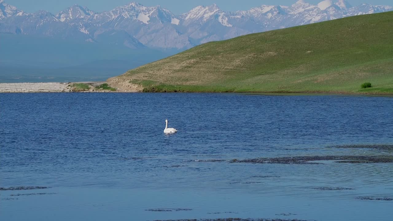 озера и луга, в монгольской автономной префектуре байинголь, синьцзян, китай.