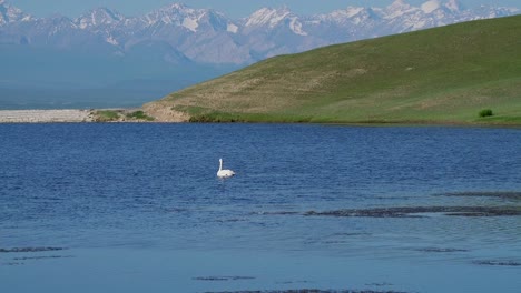 lagos y prados, en la prefectura autónoma mongola de bayingol, xinjiang, china.