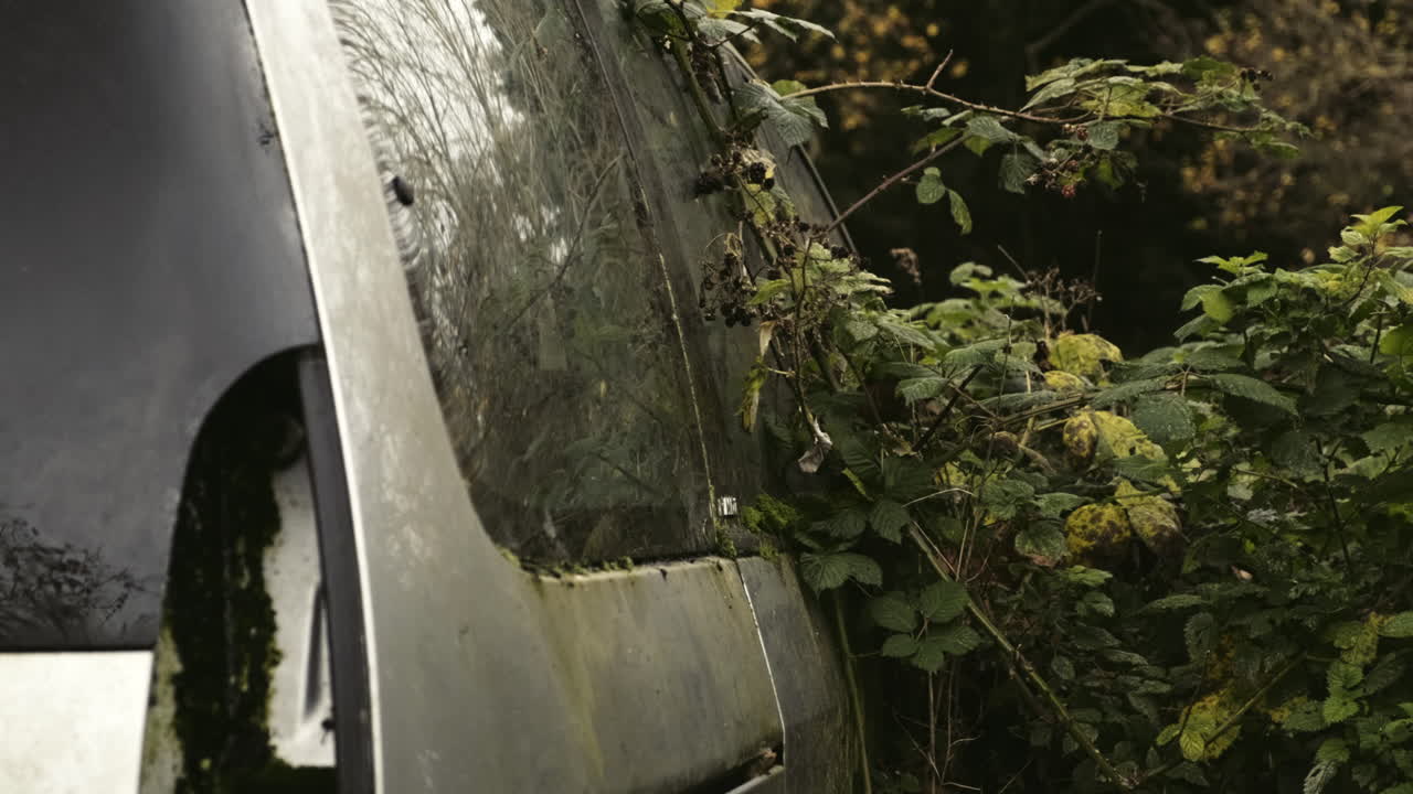 Smooth panning shot of a rustic abandoned car overgrown by nature's bushes and moss