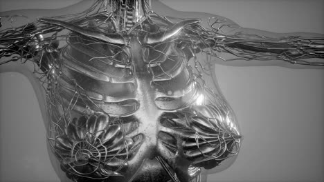 cuerpo humano con huesos esqueléticos visibles