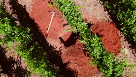 Aerial-View-Above-Chilean-Vineyard,-Closeup-Above-Maule-Valley-Land-and-Wrought-Iron-Tool,-Chile-Wine-Region-Landscape-of-Cauquenes