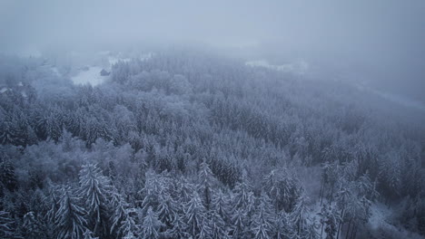 Luftaufnahmen-Eines-Schneebedeckten-Bergwaldes-Mit-Nebel-In-Der-Ferne