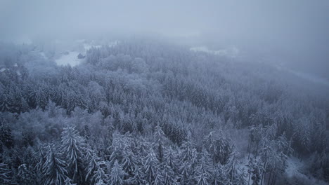 aerial of mountain forest covered by snow with mist in the distance