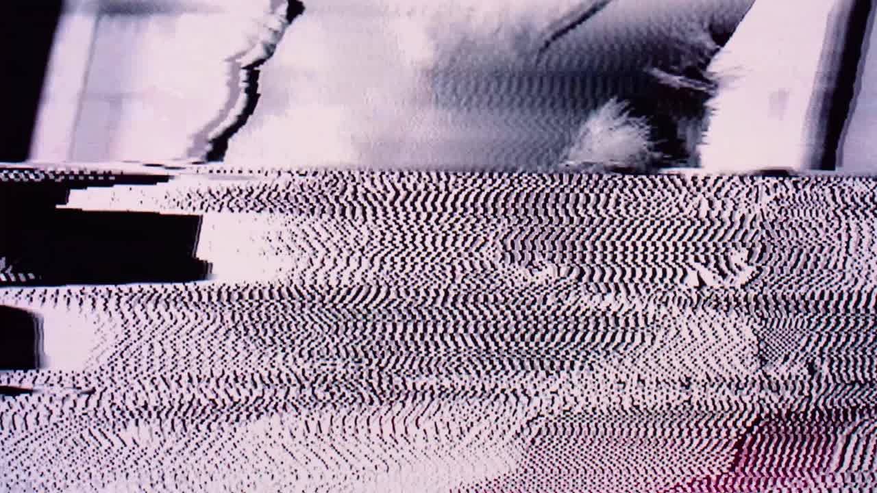 el efecto psíquico del gato ragdoll estilo documental broll.