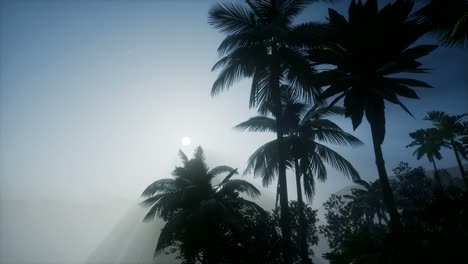 Mountain-and-Field-Landscape-with-Palms