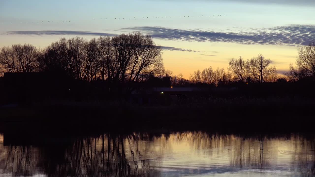 Birds fly in formation over a Midwestern lake in autumn
