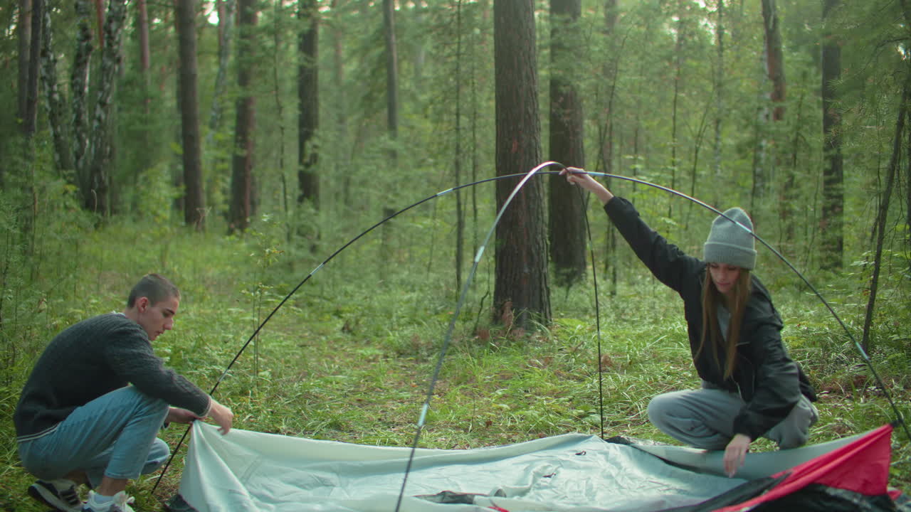 researchers work together to pitch camping tent in forest setting as one squats to insert flexible tent pole into fabric loop while other holds pole above ground surrounded by trees and morning light