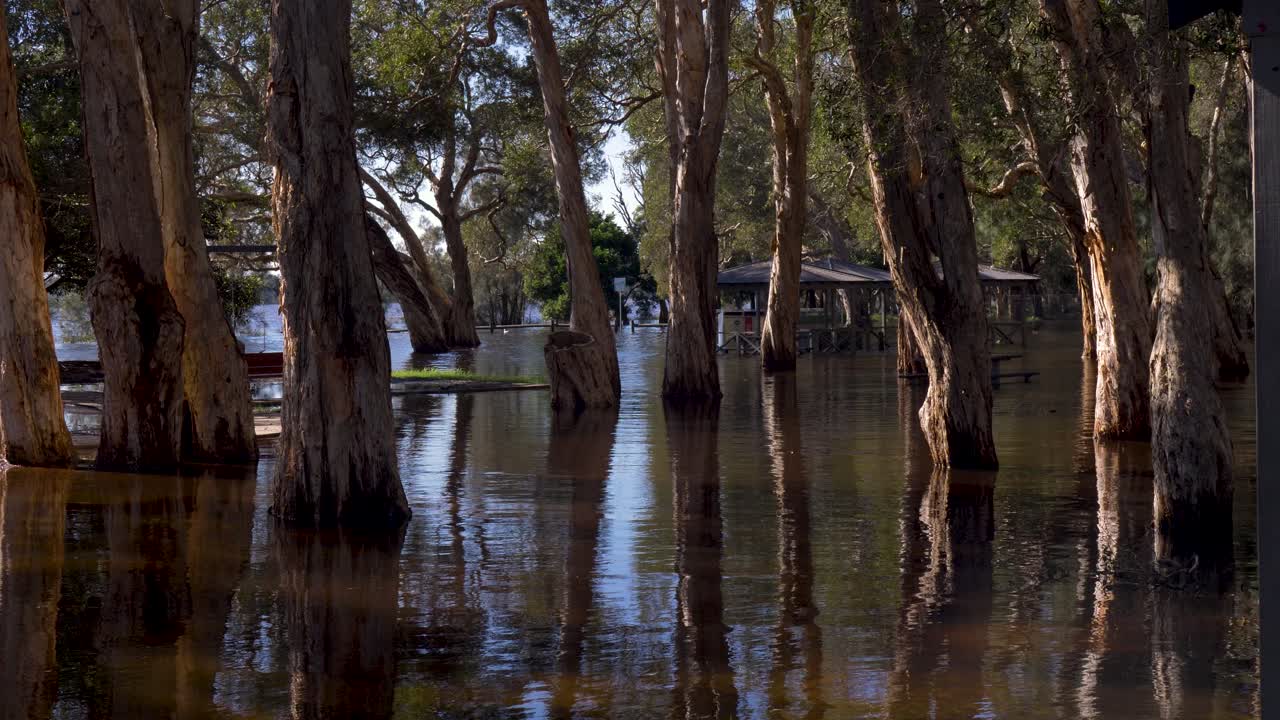 Slow motion landscape of trees and playground public park submerged in floodwater hazard from lake river system in Budgewoi Central Coast Australia Lake Munmorah emergency weather damage outdoors