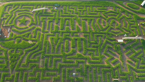 corn maze