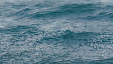 a close-up view of the surface of water, exhibiting the intricate patterns of ripples and undulations