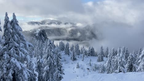 Beautiful-pan-left-shot-of-a-winter-wonderland-scene-of-trees-covered-in-snow-on-mount-seymour-in-Vancouver-Canada-on-a-cloudy-day-which-is-clearing-up-with-blue-sky