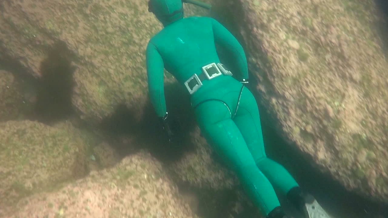 buzo libre en agua fría quebec