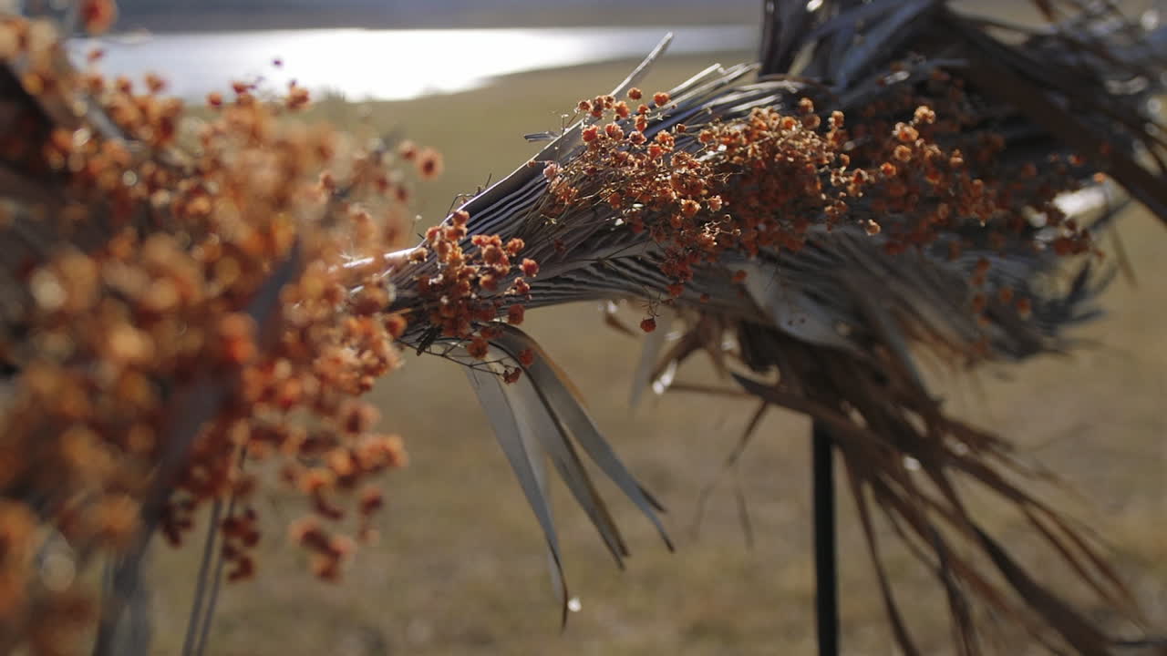 boho elopement의 말린 chiloschista 장식 장식 - 슬라이드를 닫습니다.