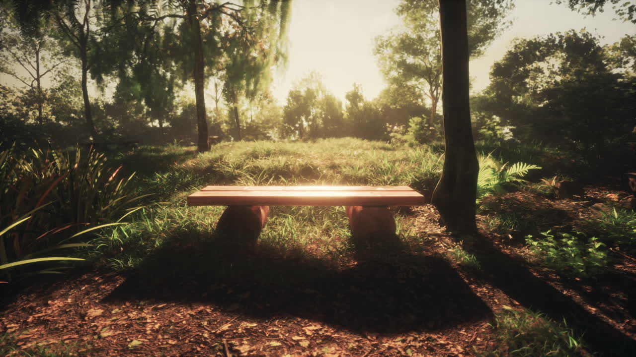 빛이 비치는 숲에서 평화로운 벤치