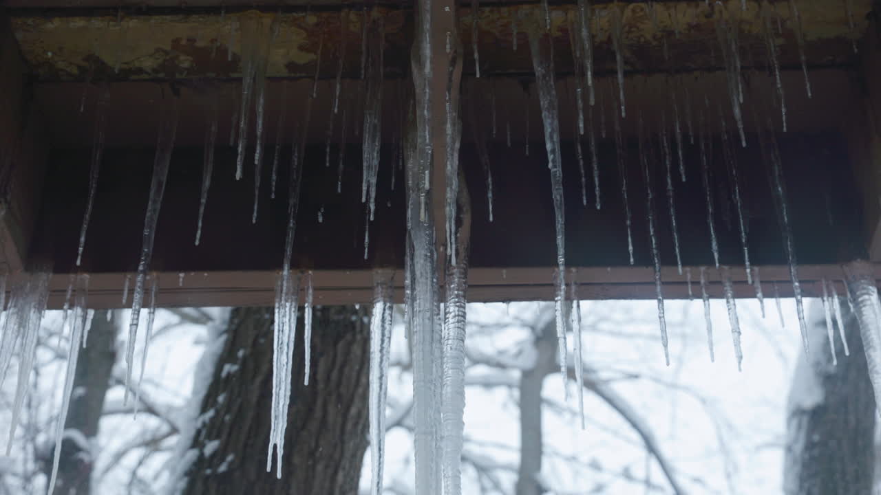 Handheld shot of snow falling in a thick wintery forest