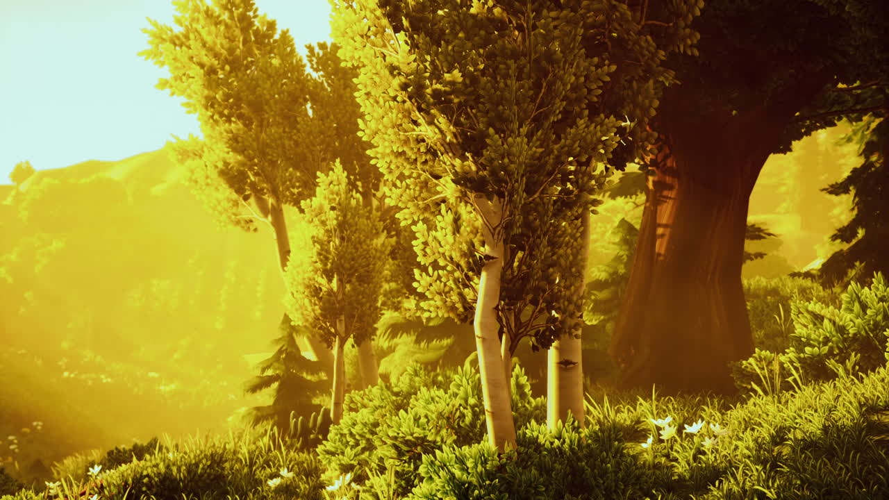 amanecer de dibujos animados en una mañana brumosa