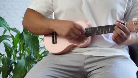 man mid 30 and with bead is playing and whistling with his pink ukulele next to a big window and close to a green plant