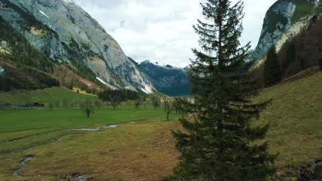vuelo aéreo de drones en el pintoresco valle de ahornboden engtal hacia un abeto y cimas de montañas en los alpes austriacos bávaros en un día nublado y soleado a lo largo de árboles, rocas, bosques y colinas en la naturaleza