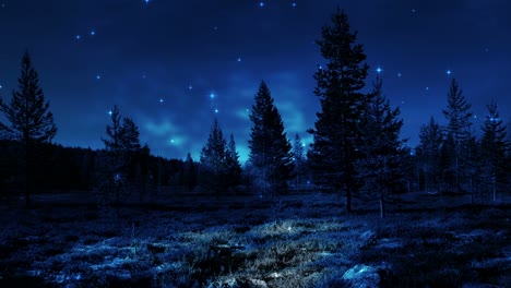 landscape during nighttime background