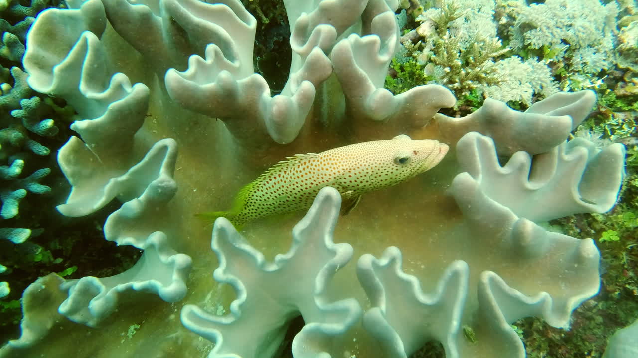 이 잔인한 바다에 숨어있습니다.