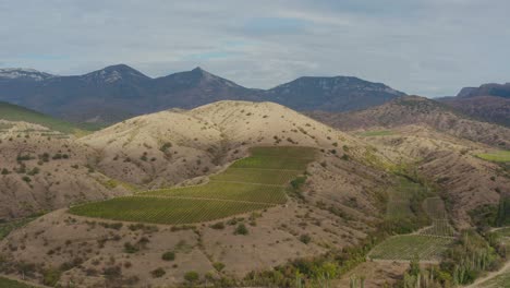 Vuelo-Sobre-Viñedos-En-Las-Montañas-001