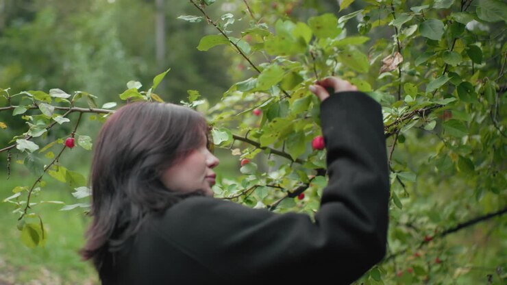 Back view of nature lover strolling toward berry tree, pausing under branches to gently touch red fruit, quiet forest moment with soft daylight, green foliage, curiosity and connection with outdoors