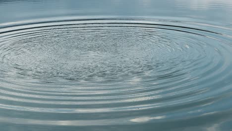 surfsurface water background in forest river or lake. calm relaxing background. river close up abundant clear stream. light reflections in clean water. amazing waves on ripple surface river.ace water