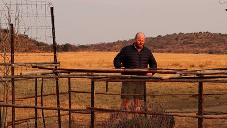 el agricultor comprueba sus plantas de lavanda seca en invierno, reflejando preocupación y determinación en medio de condiciones secas desafiantes