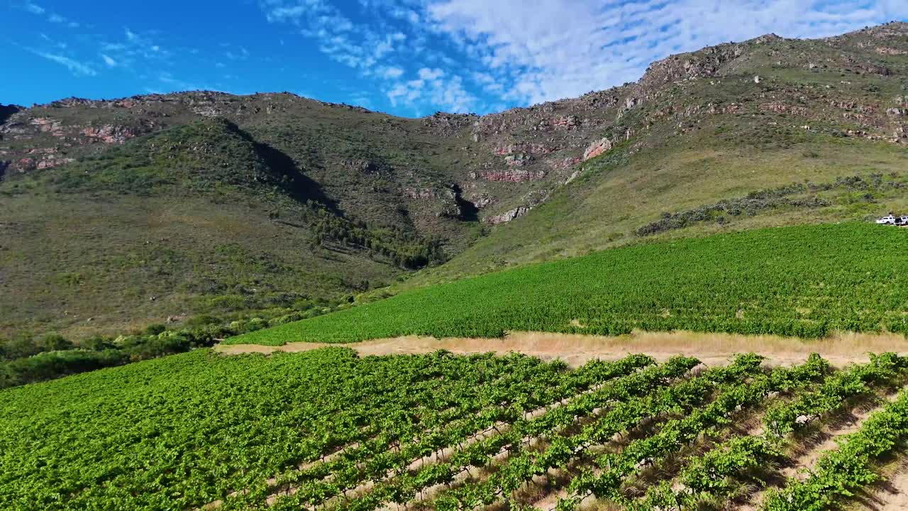 Breathtaking mountain vistas overlooking endless rows of lush, green grapevines
