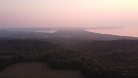 Dickichtwald-Wald-In-Sleeping-Bear-Dunes-National-Lakeshore-Am-Pyramid-Point-In-Leelanau-County,-Michigan