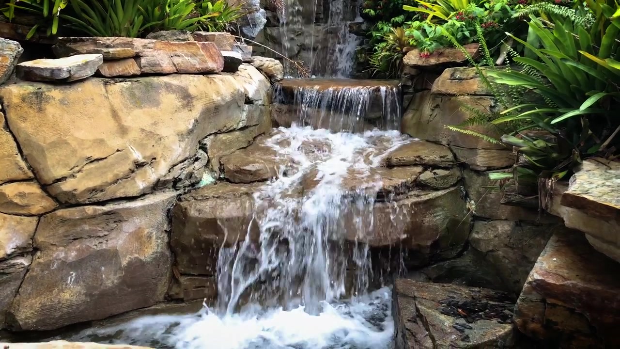 Foresta fitta e cascata negli Stati Uniti