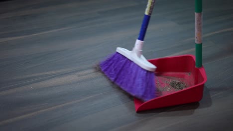 sweeping the house with broom and shovel picking up the garbage from the house