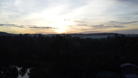 aerial panoramic view of sunrise in lush palm trees