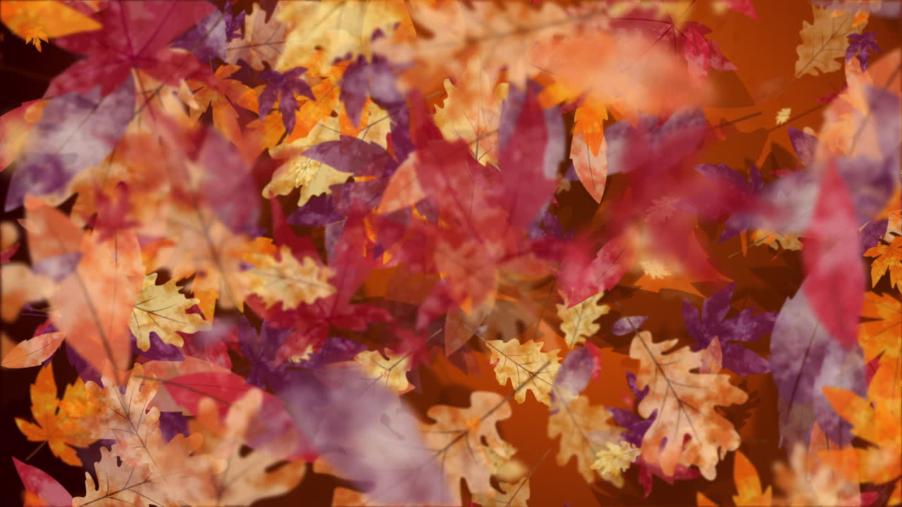 Animation of hand drawn yellow and red autumn leaves flying and spinning. Looped seasonal holiday background.