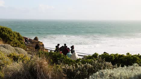 people enjoying coastal view at scenic lookout