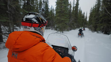 snowmobilling through forest from behind the driver