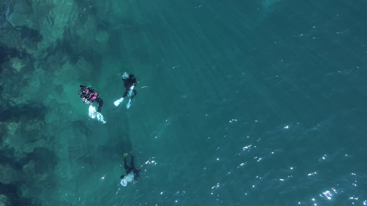 vista alta de los buceadores bajo el agua explorando un arrecife oceánico cerca de la costa rocosa