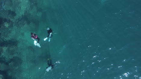 High-view-of-scuba-divers-underwater-exploring-an-ocean-reef-close-to-the-rocky-shore